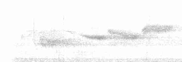 lesňáček modrohřbetý - ML521593201