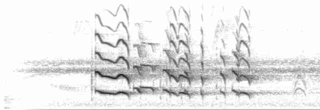  - Yellow-throated Toucan (Chestnut-mandibled)