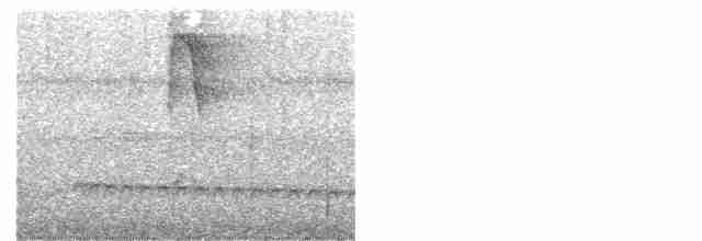 Tüpfelkronen-Ameisenvogel - ML521608641