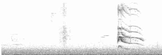 Желтобрюхий дятел-сокоед - ML521618351