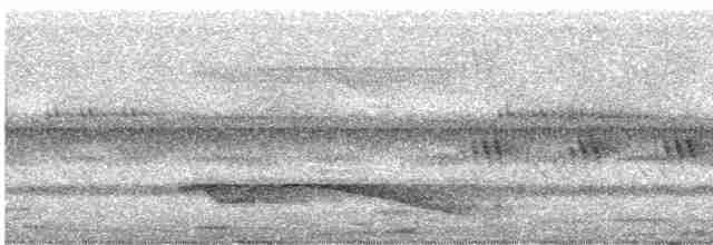 Great Eared-Nightjar - ML521643301