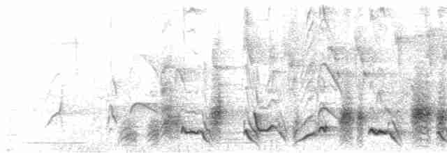  - Rufous-backed Wren