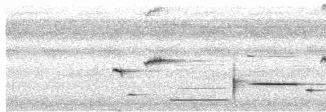 Толстоклювый крапивник (griseolateralis) - ML521756411