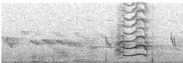 Altın Kuyruklu Ağaçkakan [abingoni grubu] - ML521758051