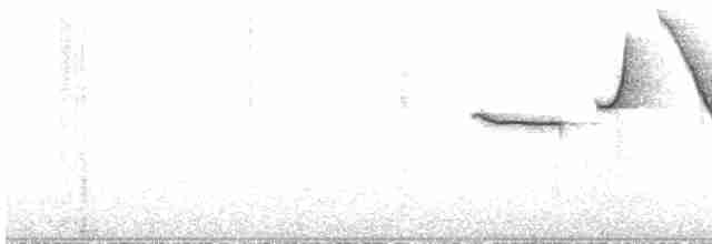 Black-billed Mountain-Toucan - ML521763931