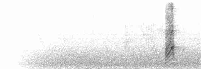 Sarı Gagalı Saksağan - ML52178941