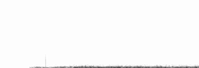 holub grenadský - ML521791721