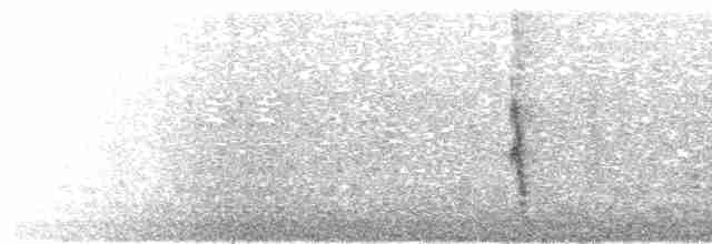 Пересмішник сивий - ML521806301