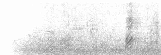 Urraca de Nuttall - ML52181381