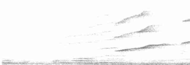 holoubek skořicový - ML521866191