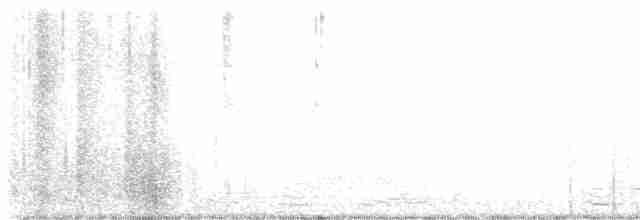 Yellow-rumped Warbler - ML521908871