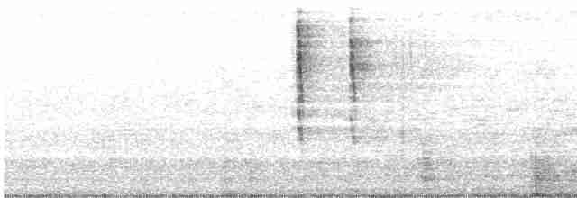 Troglodyte de Baird - ML521924471
