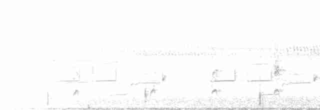 Spotless Crake - ML521939991