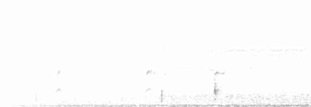 Spotless Crake - ML521940001