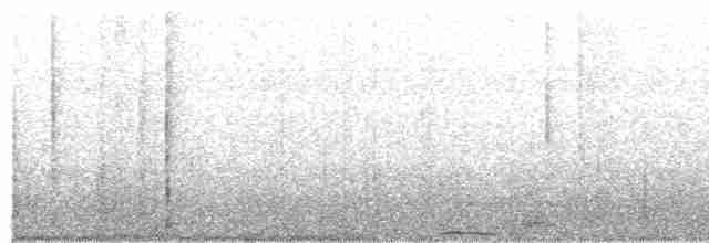 Полосатохвостый дятел - ML521957041