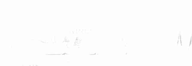 Tinamou superbe - ML521994931