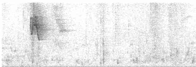 Greenish Warbler - ML522147691