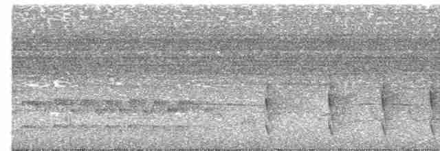 Canebrake Groundcreeper - ML522166231