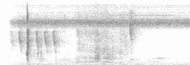 Chocó-Strichelameisenschlüpfer - ML522167881