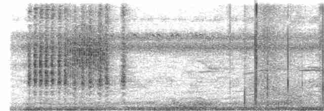 Clamorous Reed Warbler - ML522183741