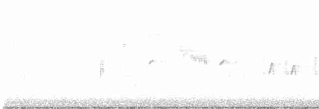 Шишкар ялиновий - ML522213341