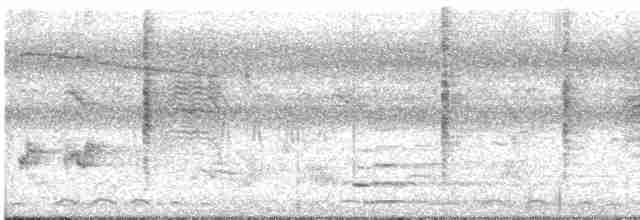 Thick-billed Warbler - ML522215191
