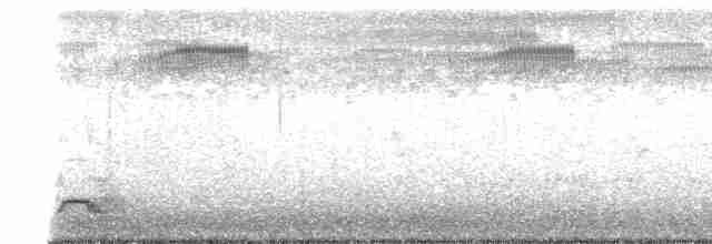 Spotless Crake - ML522355791