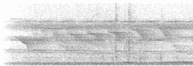 Little Cuckoo - ML522366991