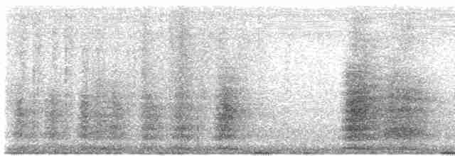 Hoatzin - ML522377501