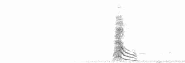  - Short-eared Owl (Northern)