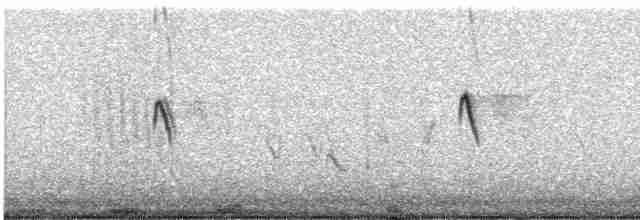 Bruant à couronne blanche - ML522401241