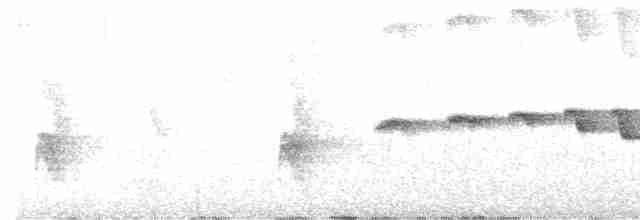 Boz Kanatlı Karıncakuşu - ML522405721