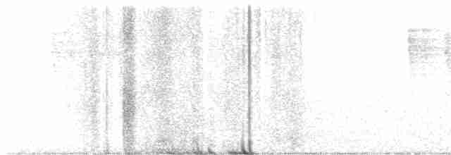 Pacific Wren (pacificus Group) - ML522406181