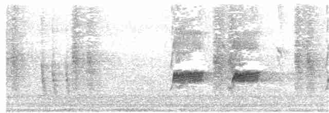 Белобровый пересмешник - ML52242981