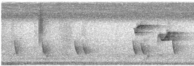 kolibřík bělobradý - ML522430591
