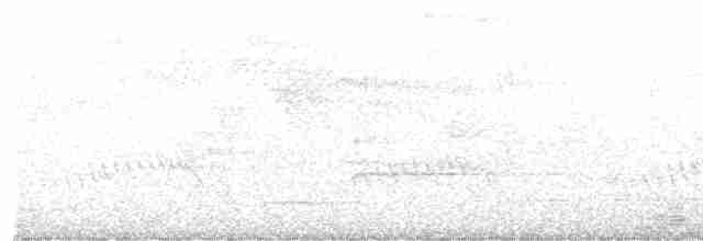 Тілопо смугастобокий - ML522438601