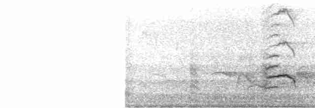 Лиска жовтодзьоба - ML522440701