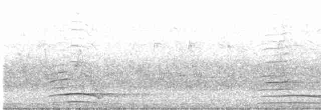 Indian Peafowl - ML522452211