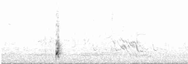 Spotless Crake - ML522458511