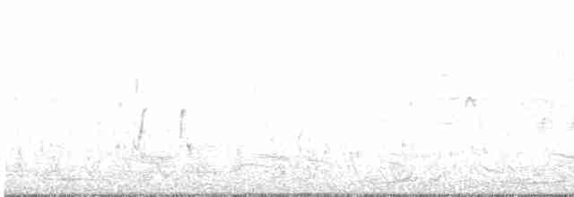 Spotless Crake - ML522461141