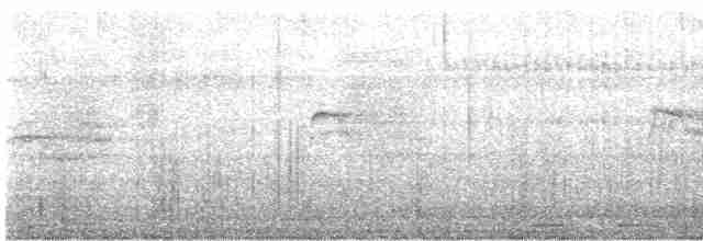 Бронзовокрылая якана - ML522485451