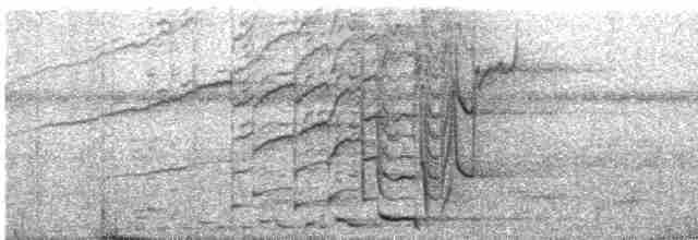 Cassique de Montezuma - ML522501361