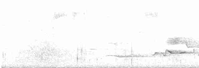 svartmaskemonark - ML522538541