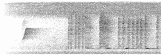 Ferruginous Pygmy-Owl - ML522539491