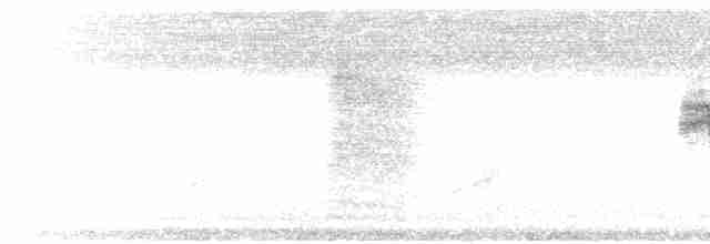 Белоухий крапивник - ML522539521