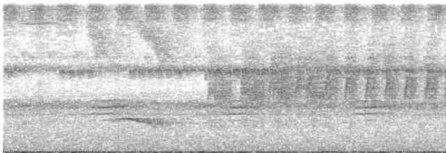 kastanjebukeufonia - ML522561481