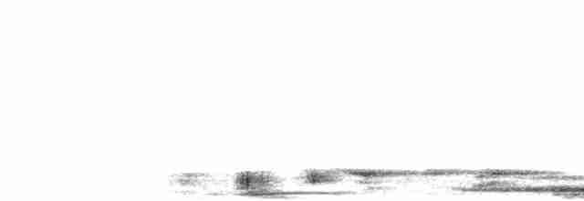 Búho Pescador de Ceilán - ML522563361