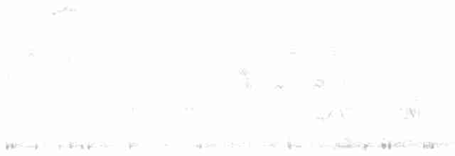 Смолярик білоголовий - ML522575851