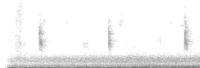 Common Yellowthroat - ML522623561