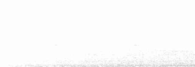 Дрімлюга гірський (підвид poliocephalus) - ML522677381